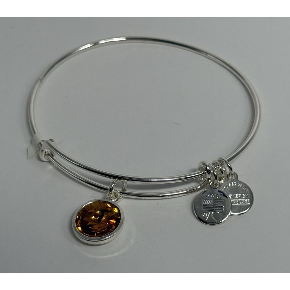 Alex And Ani Silver Tone Topaz November Birthstone Bangle Charm Bracelet NWOT